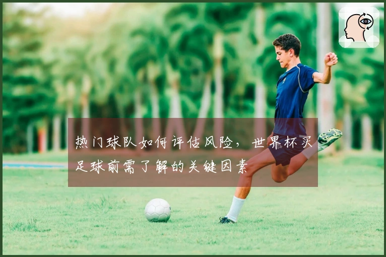 热门球队如何评估风险，世界杯买足球前需了解的关键因素