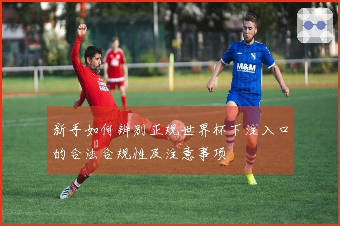 新手如何辨别正规世界杯下注入口的合法合规性及注意事项