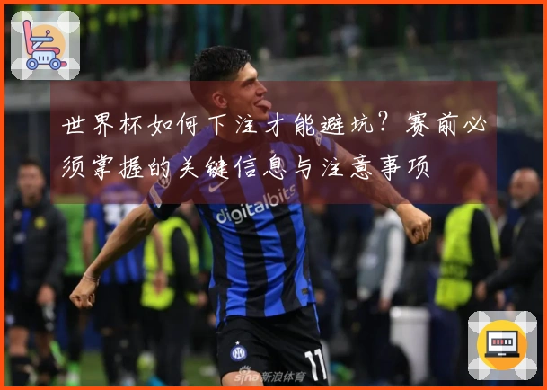 世界杯如何下注才能避坑？赛前必须掌握的关键信息与注意事项