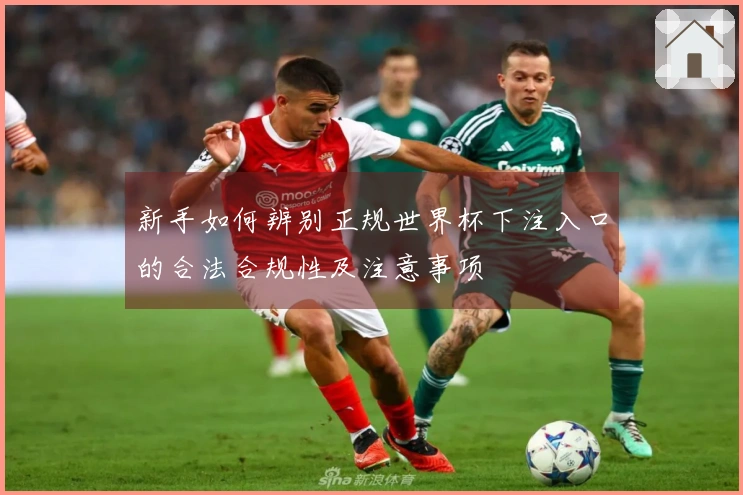 新手如何辨别正规世界杯下注入口的合法合规性及注意事项