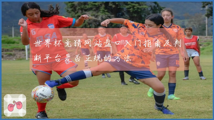 世界杯竞猜网站盘口入门指南及判断平台是否正规的方法