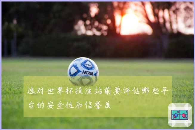 选对世界杯投注站前要评估哪些平台的安全性和信誉度