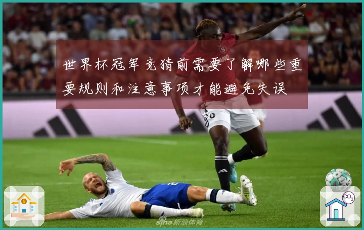 世界杯冠军竞猜前需要了解哪些重要规则和注意事项才能避免失误