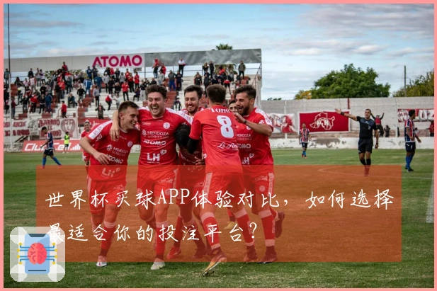世界杯买球APP体验对比，如何选择最适合你的投注平台？
