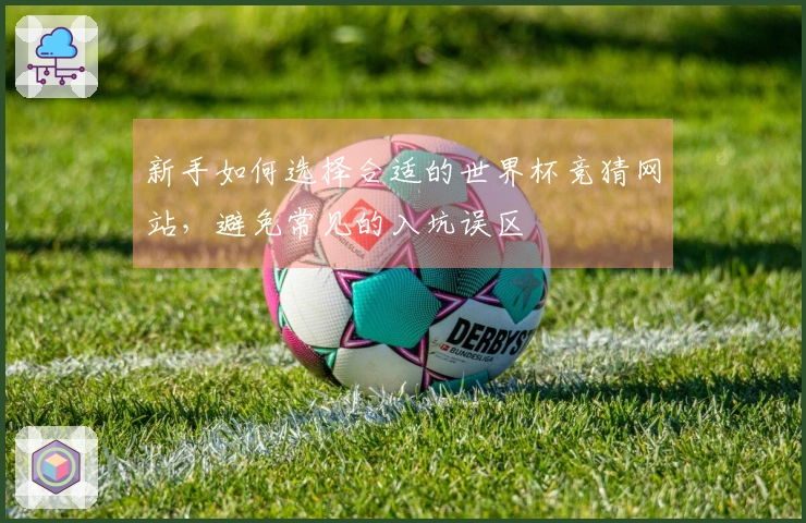 新手如何选择合适的世界杯竞猜网站，避免常见的入坑误区