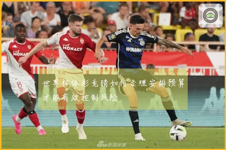 世界杯体彩竞猜如何合理安排预算才能有效控制风险