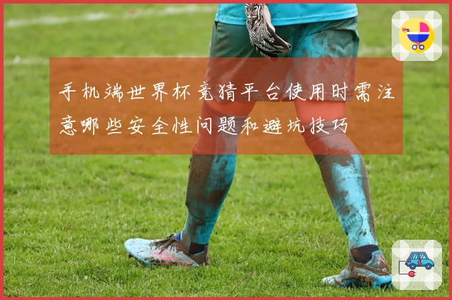 手机端世界杯竞猜平台使用时需注意哪些安全性问题和避坑技巧