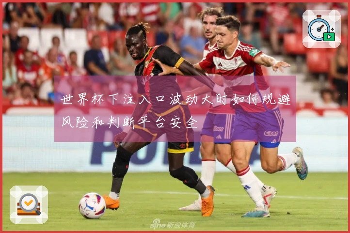 世界杯下注入口波动大时如何规避风险和判断平台安全