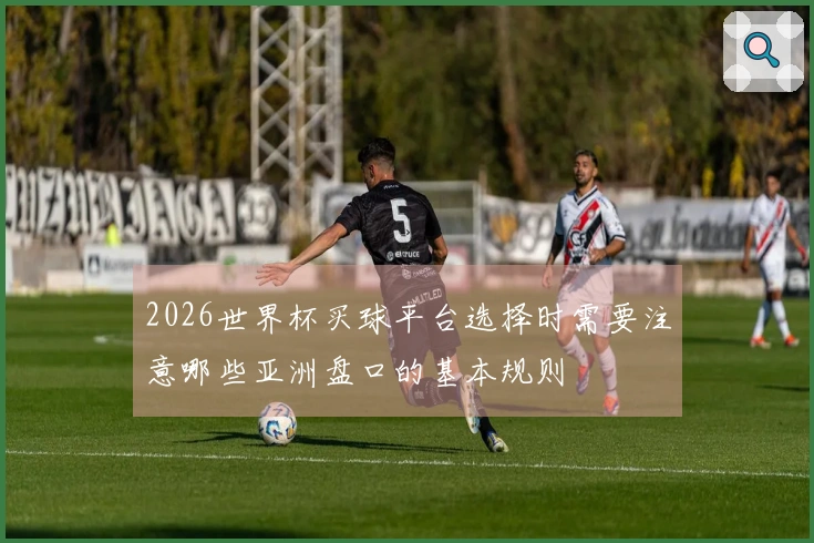 2026世界杯买球平台选择时需要注意哪些亚洲盘口的基本规则