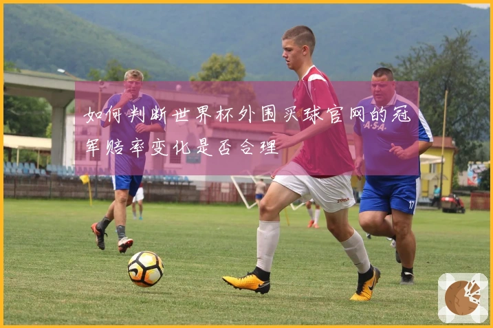 如何判断世界杯外围买球官网的冠军赔率变化是否合理