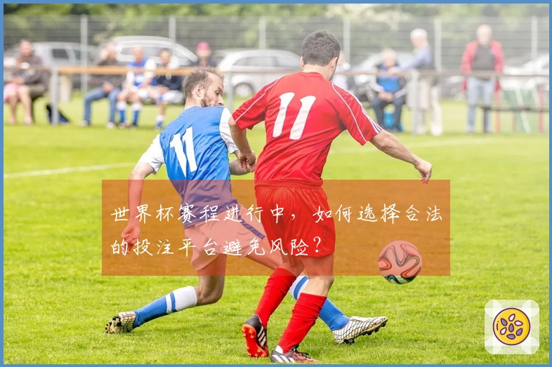 世界杯赛程进行中，如何选择合法的投注平台避免风险？