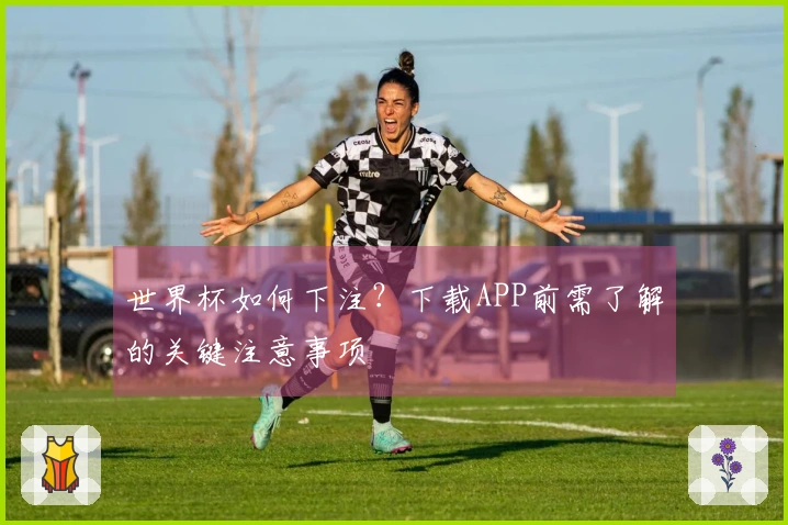 世界杯如何下注？下载APP前需了解的关键注意事项