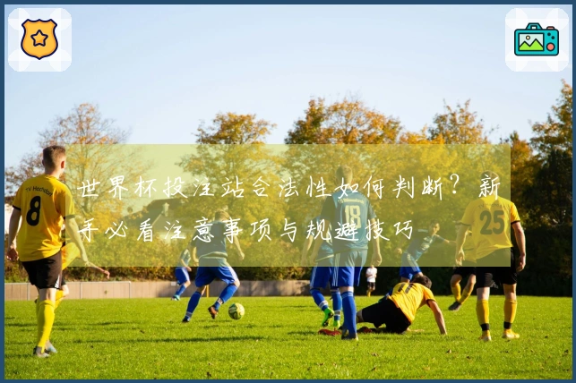 世界杯投注站合法性如何判断？新手必看注意事项与规避技巧