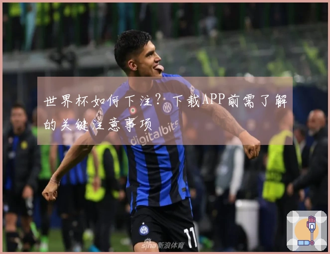 世界杯如何下注？下载APP前需了解的关键注意事项