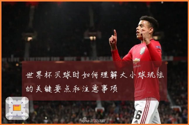 世界杯买球时如何理解大小球玩法的关键要点和注意事项