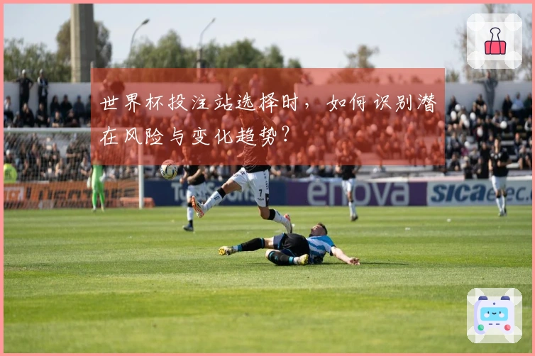 世界杯投注站选择时，如何识别潜在风险与变化趋势？