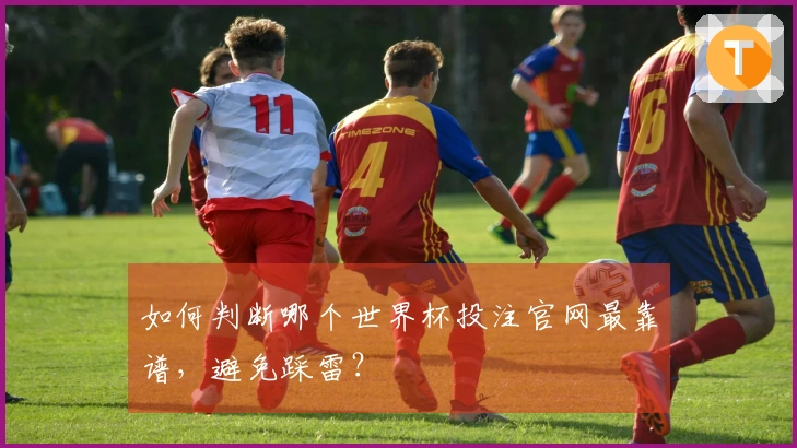 如何判断哪个世界杯投注官网最靠谱，避免踩雷？