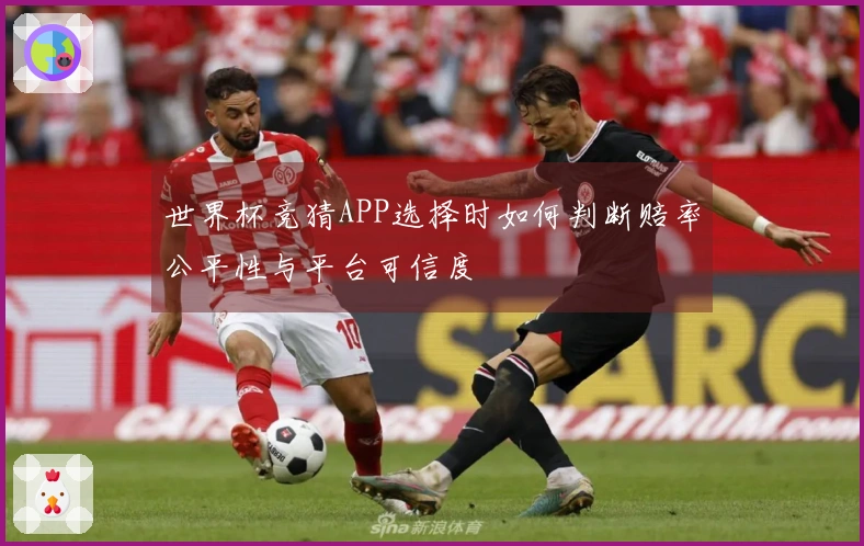世界杯竞猜APP选择时如何判断赔率公平性与平台可信度