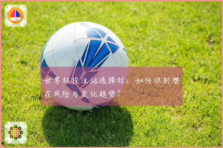 世界杯投注站选择时，如何识别潜在风险与变化趋势？
