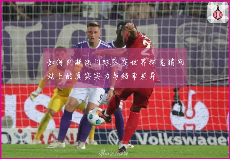 如何判断热门球队在世界杯竞猜网站上的真实实力与赔率差异