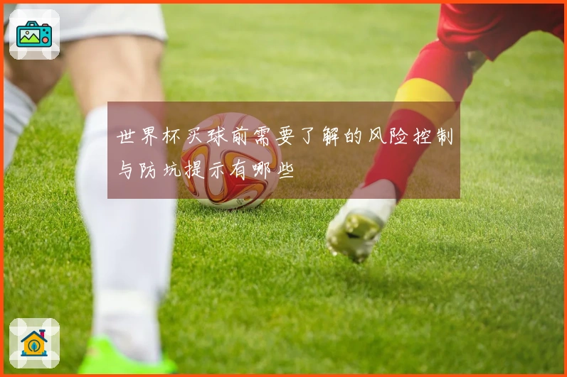 世界杯买球前需要了解的风险控制与防坑提示有哪些