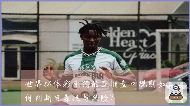 世界杯体彩竞猜的亚洲盘口规则如何判断可靠性与风险？