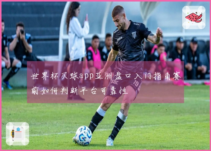 世界杯买球app亚洲盘口入门指南赛前如何判断平台可靠性