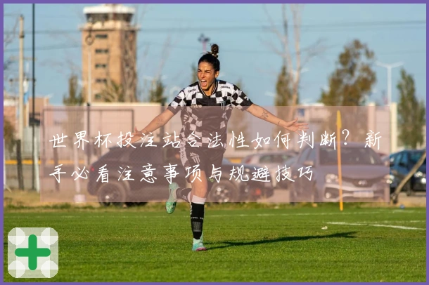 世界杯投注站合法性如何判断？新手必看注意事项与规避技巧