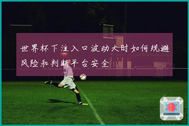 世界杯下注入口波动大时如何规避风险和判断平台安全