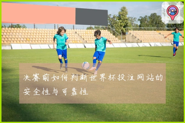 决赛前如何判断世界杯投注网站的安全性与可靠性