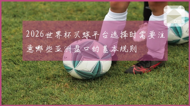 2026世界杯买球平台选择时需要注意哪些亚洲盘口的基本规则