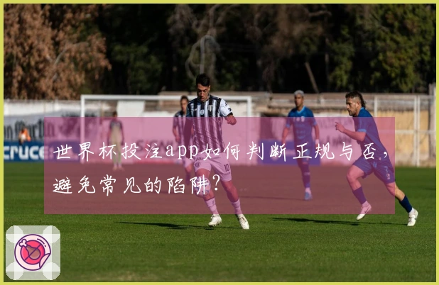 世界杯投注app如何判断正规与否，避免常见的陷阱？